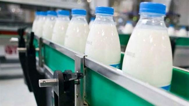 افزایش 22 تا 28 درصدی قیمت لبنیات