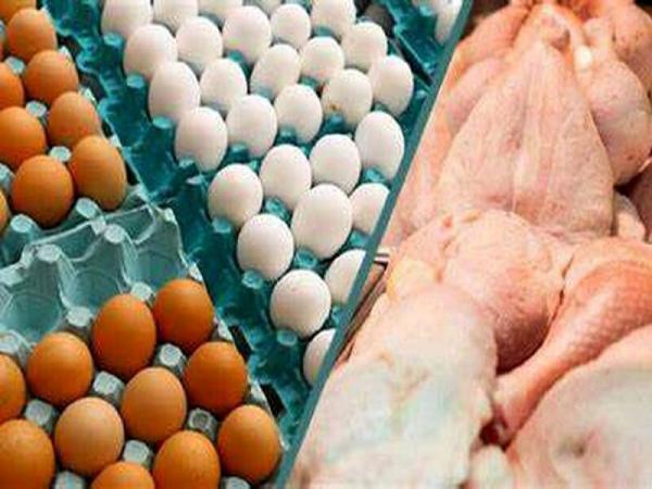 خبرنگاران قیمت مرغ و تخم مرغ در خراسان رضوی رو به کاهش است