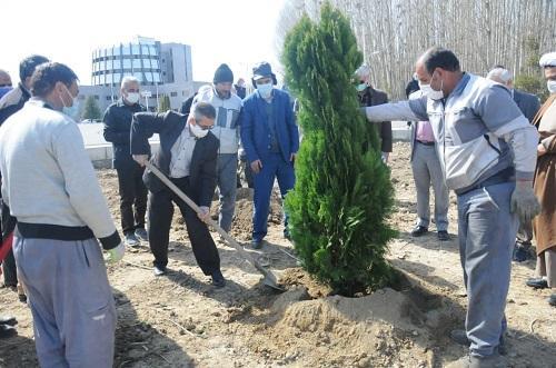 شروع کاشت 1500 درخت و گیاهان دارویی در دانشگاه ارومیه خبرنگاران