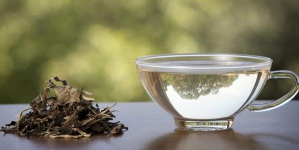 بهترین زمان خوردن چای سبز برای لاغری برترین زمان خوردن چای سبز برای لاغری