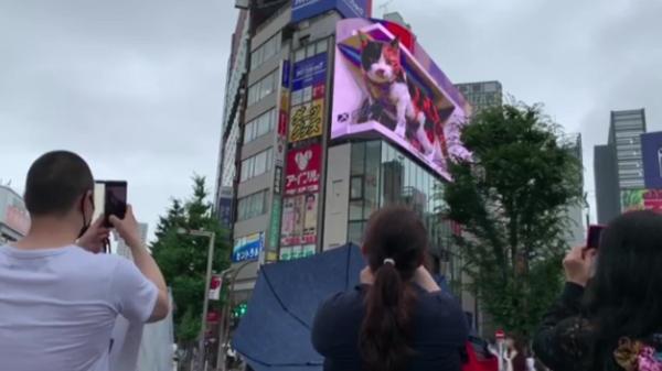 تبلیغات سه بعدی در خیابان های چین