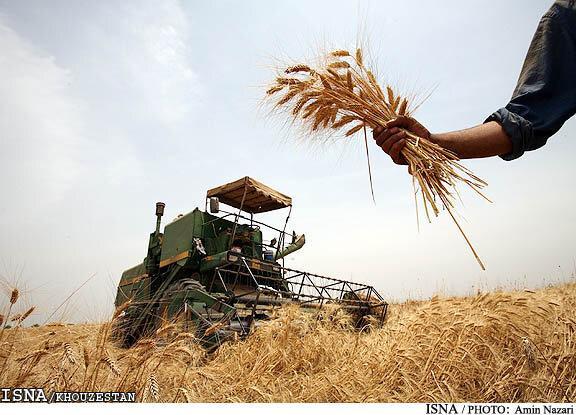 برنامه ریزی برای تامین کمباین های موردنیاز برداشت گندم