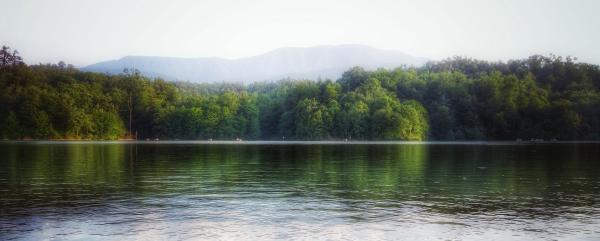 دریاچه الیمالات ، آبگیری در آغوش درختان